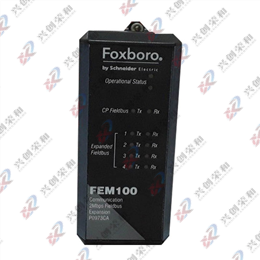 Foxboro FEM100 P0973CA現(xiàn)場(chǎng)總線擴(kuò)展模塊