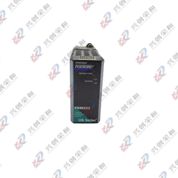 Foxboro FBM223 P0917HD Profibus DP模塊