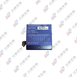 Selecontrol MAS PLC CPU單元411-002