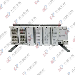 YOKOGAWA DS600-00-1W數(shù)據(jù)采集子單元