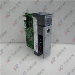  1395-A75-C4-P10?-X1 USPP 1395A75C4P10X1    PLC