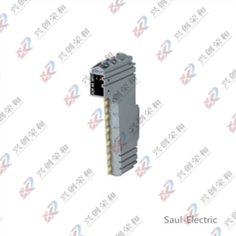 B&R X20CS2770-C01 Communication Module