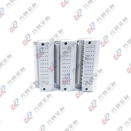 YOKOGAWA DU200-11 10通道DC/TC/DI輸入模塊數(shù)據(jù)采集